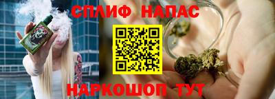 МДПВ Будённовск