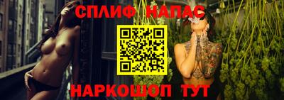 МДПВ Будённовск