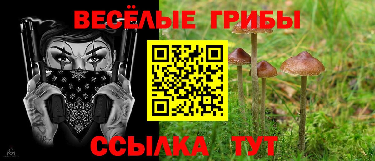 где можно купить наркотик  Галлюциногенные грибы мицелий  Вход с VPN  Рубцовск 